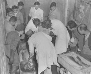 Inspecting tuna from the 